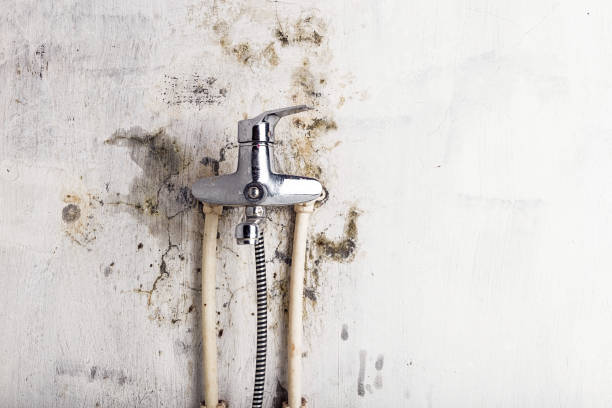 Karnes City, TX Mold Remediation Company