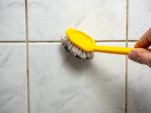 Best Mold Remediation for Schools in Karnes City, TX