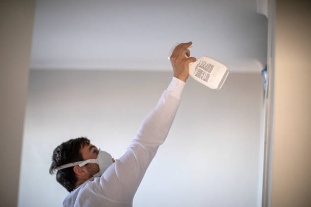 Best Insurance-Related Mold Remediation in Karnes City, TX