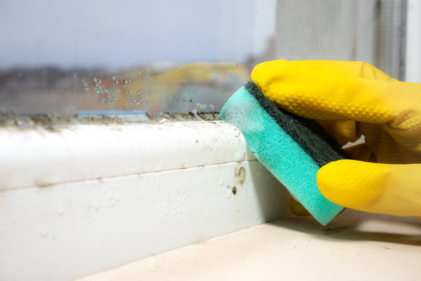 Best HVAC Mold Remediation in Karnes City, TX