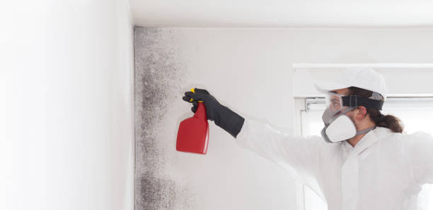 Best Residential Mold Remediation in Karnes City, TX